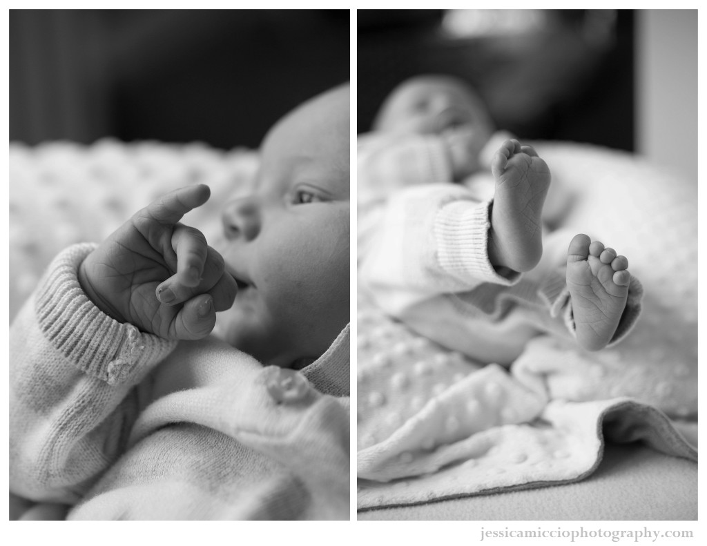 CT Newborn & Portrait Photographer
